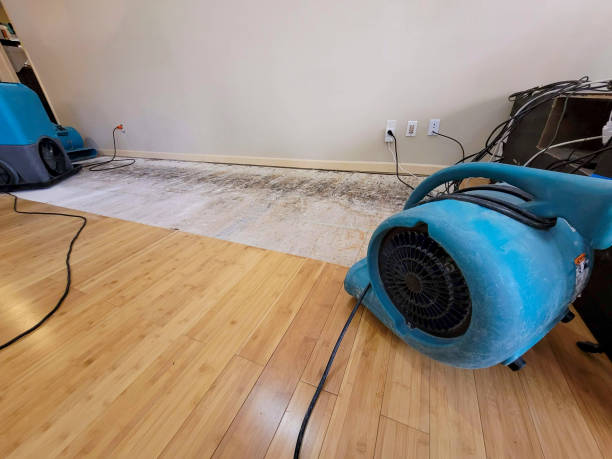 Professional Basement Flood Cleanup technician working in Waynesburg, PA
